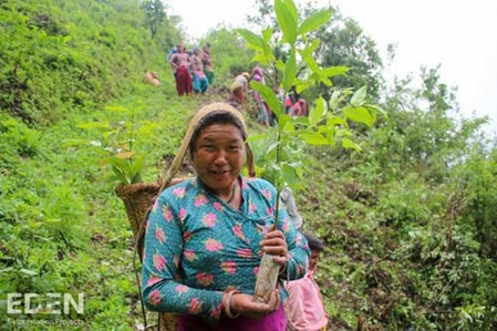 Nepaleserin hält stolz Baumsetzling in Händen